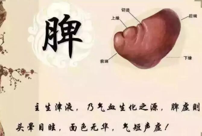 东方易元洗髓功