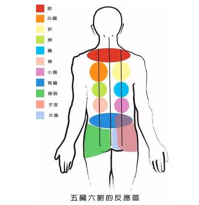 东方易元洗髓功