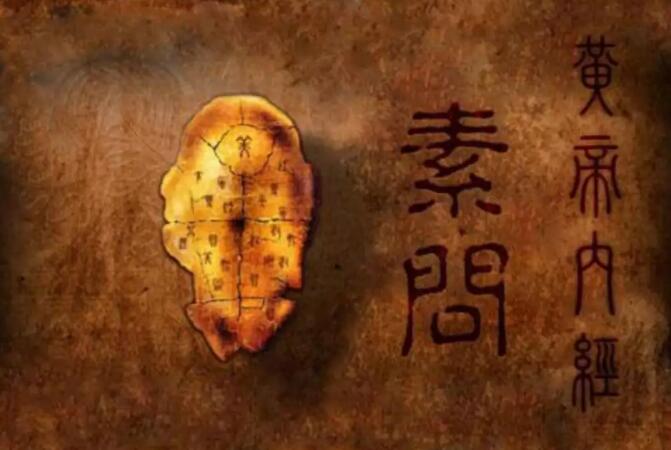 《易筋经》锻炼的究竟是哪里的“筋”？有什么重要的作用？